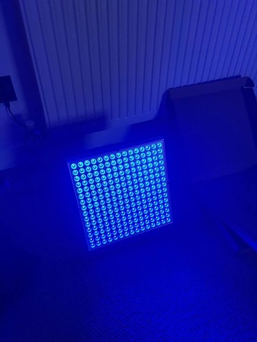 Tanning lamp sun - tanning,